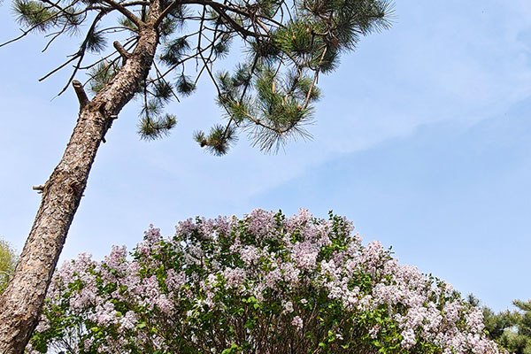 天津墓地续费是否包含其他额外费用?如何享受优惠? 天津墓地续费是否包含其他额外费用?如何享受优惠?