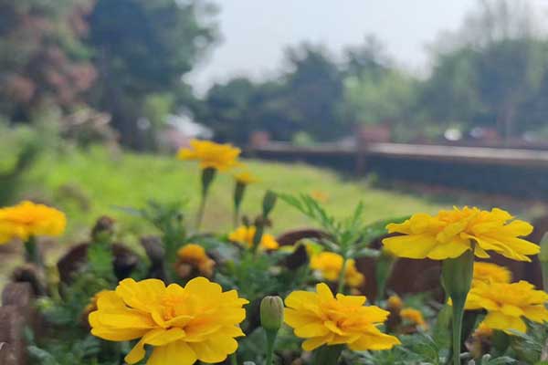 天津墓地购买前实地考察与合同签订的注意事项 天津墓地购买前实地考察与合同签订的注意事项