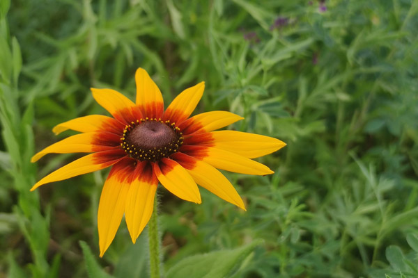 天津墓园对殡仪服务人员的仪容仪表相关要求 天津墓园对殡仪服务人员的仪容仪表相关要求