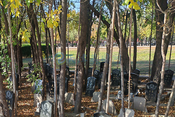 预约天津墓园,需要提供哪些信息呢? 预约天津墓园,需要提供哪些信息呢?